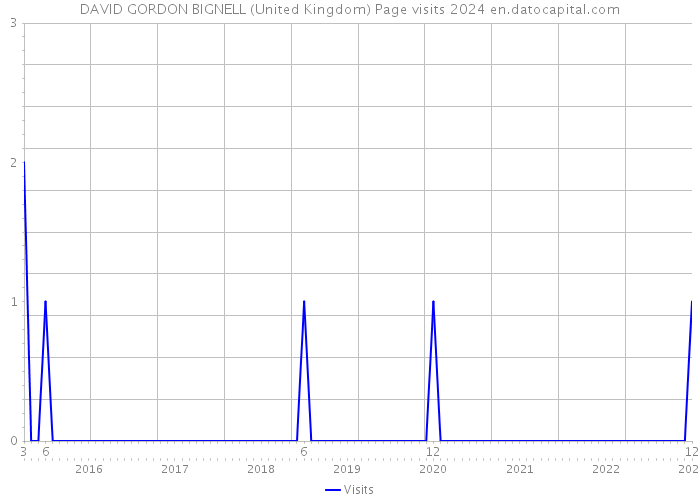 DAVID GORDON BIGNELL (United Kingdom) Page visits 2024 