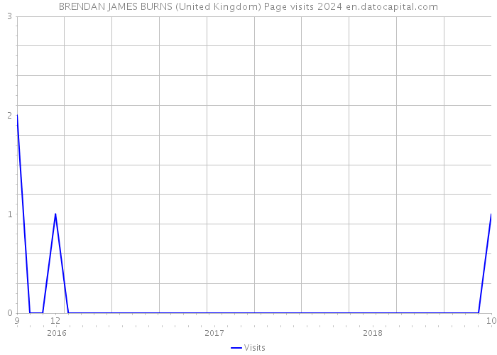 BRENDAN JAMES BURNS (United Kingdom) Page visits 2024 