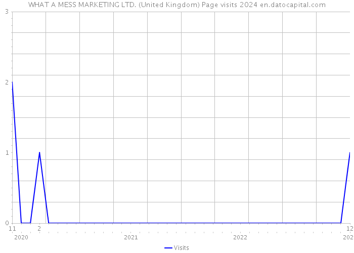 WHAT A MESS MARKETING LTD. (United Kingdom) Page visits 2024 