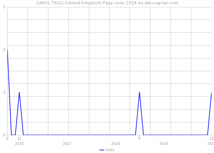 CAROL TAGG (United Kingdom) Page visits 2024 