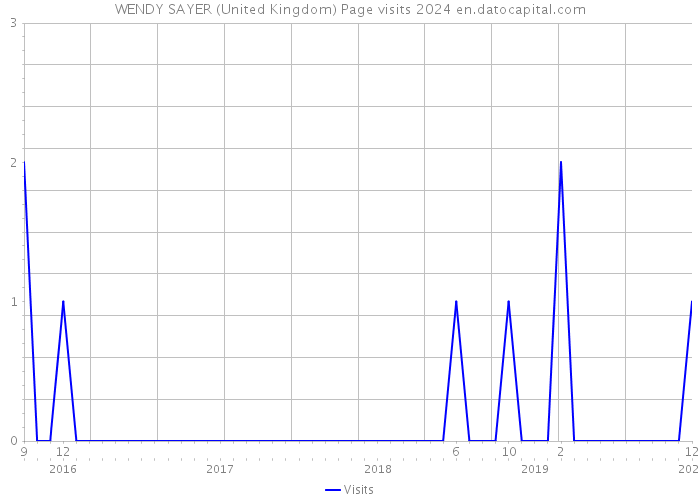WENDY SAYER (United Kingdom) Page visits 2024 