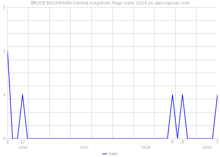 BRUCE BOCKMANN (United Kingdom) Page visits 2024 