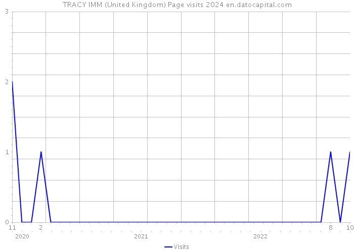 TRACY IMM (United Kingdom) Page visits 2024 