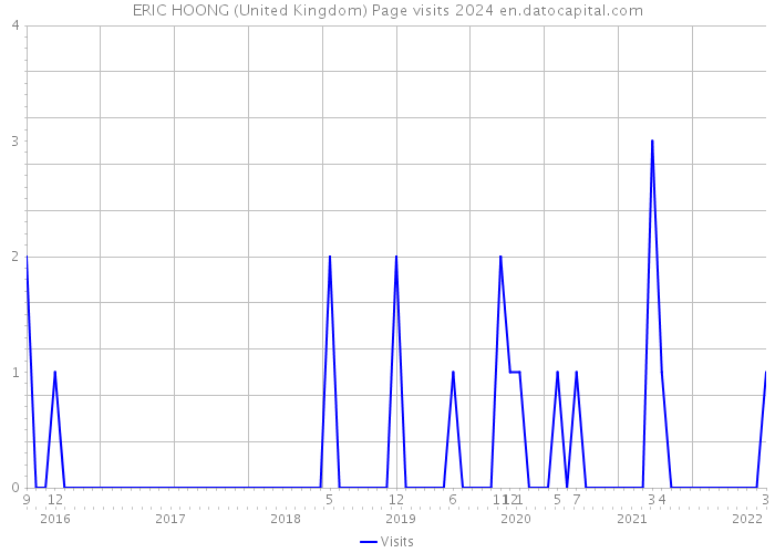 ERIC HOONG (United Kingdom) Page visits 2024 