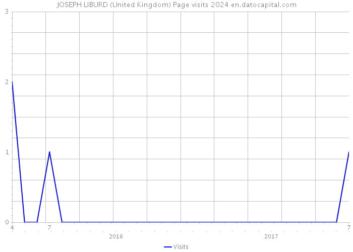 JOSEPH LIBURD (United Kingdom) Page visits 2024 