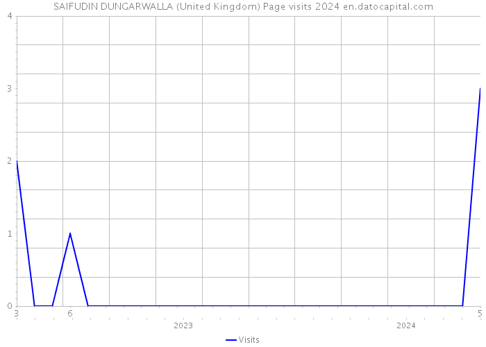 SAIFUDIN DUNGARWALLA (United Kingdom) Page visits 2024 