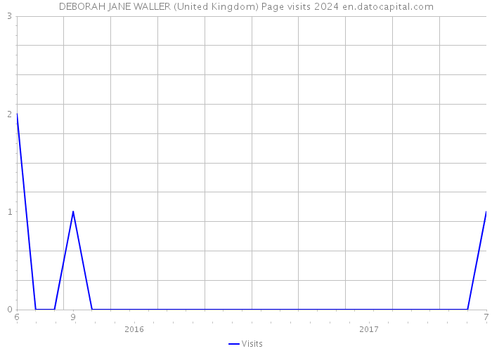 DEBORAH JANE WALLER (United Kingdom) Page visits 2024 