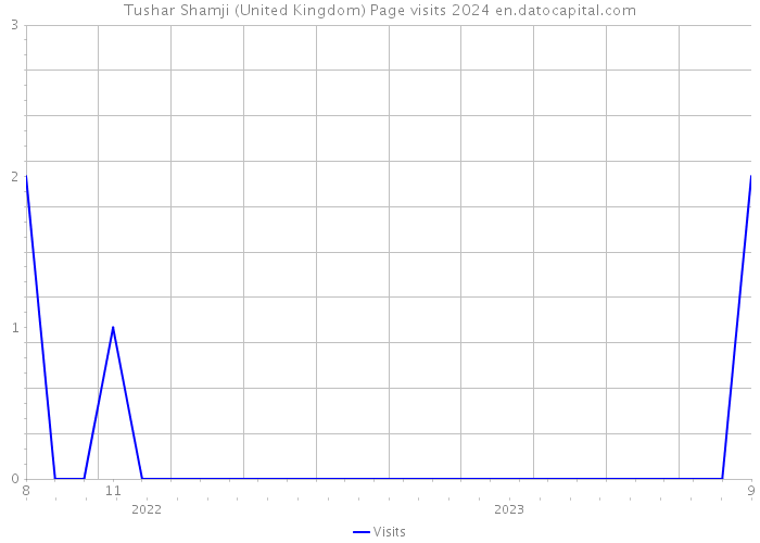 Tushar Shamji (United Kingdom) Page visits 2024 