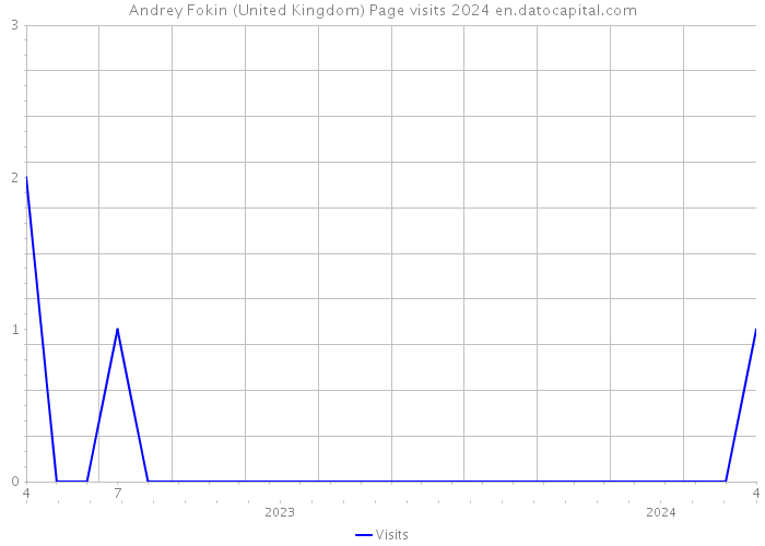 Andrey Fokin (United Kingdom) Page visits 2024 