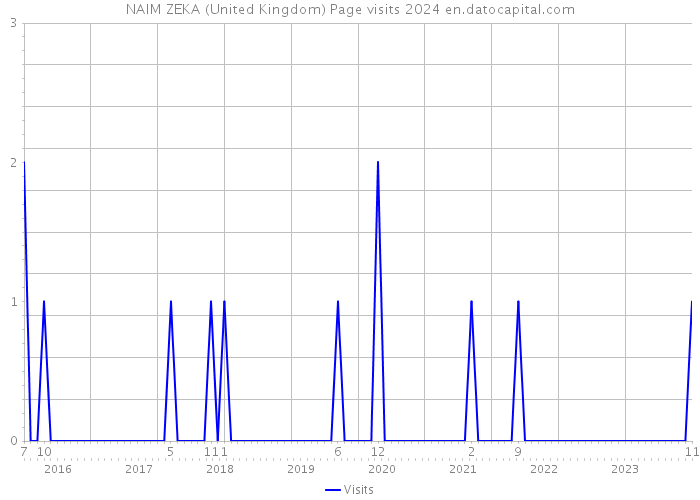 NAIM ZEKA (United Kingdom) Page visits 2024 