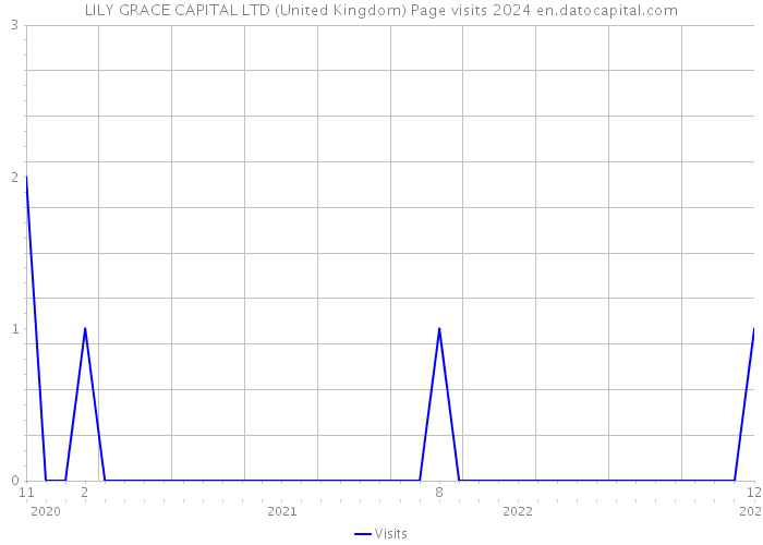LILY GRACE CAPITAL LTD (United Kingdom) Page visits 2024 