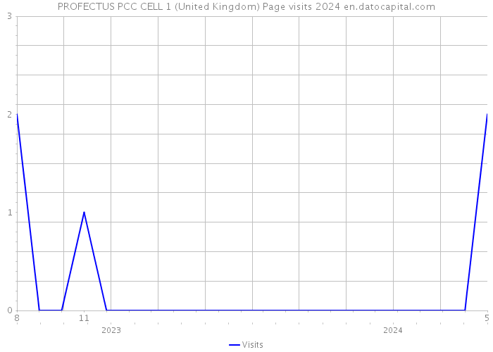 PROFECTUS PCC CELL 1 (United Kingdom) Page visits 2024 