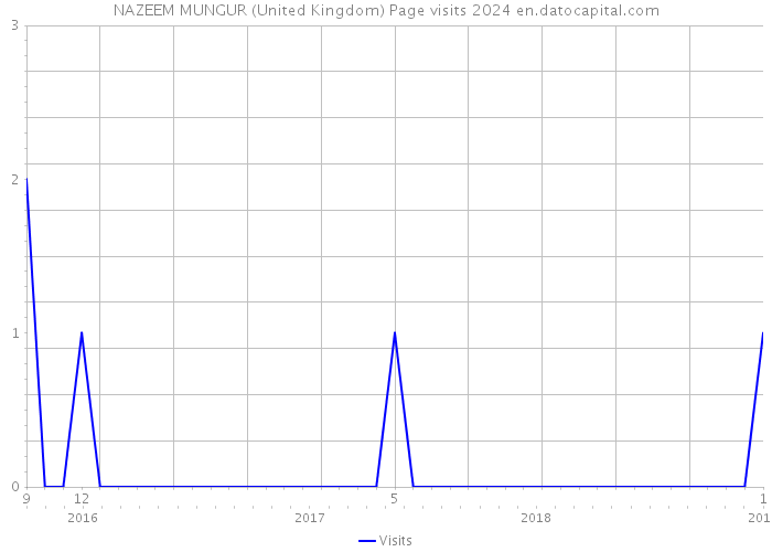 NAZEEM MUNGUR (United Kingdom) Page visits 2024 