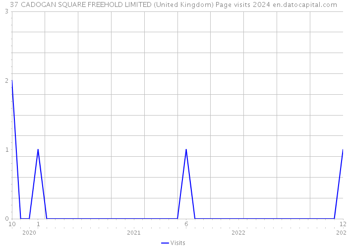 37 CADOGAN SQUARE FREEHOLD LIMITED (United Kingdom) Page visits 2024 