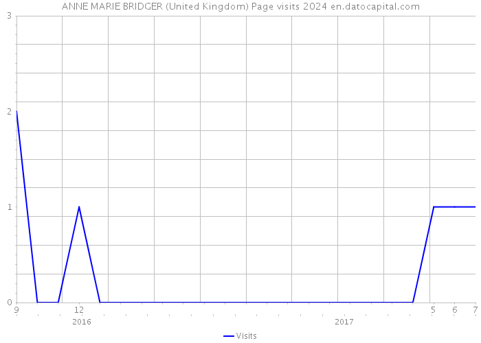 ANNE MARIE BRIDGER (United Kingdom) Page visits 2024 