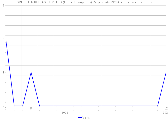 GRUB HUB BELFAST LIMITED (United Kingdom) Page visits 2024 