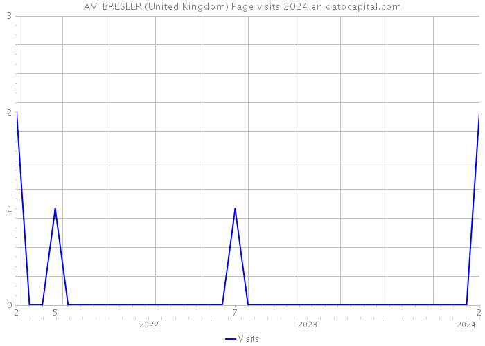 AVI BRESLER (United Kingdom) Page visits 2024 