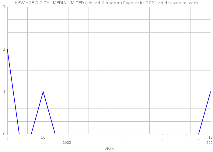 NEW AGE DIGITAL MEDIA LIMITED (United Kingdom) Page visits 2024 