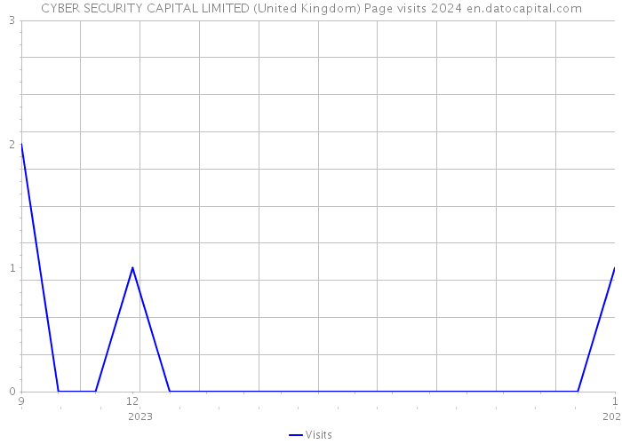 CYBER SECURITY CAPITAL LIMITED (United Kingdom) Page visits 2024 