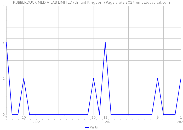RUBBERDUCK MEDIA LAB LIMITED (United Kingdom) Page visits 2024 