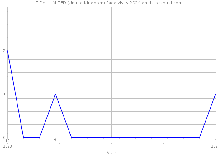 TIDAL LIMITED (United Kingdom) Page visits 2024 