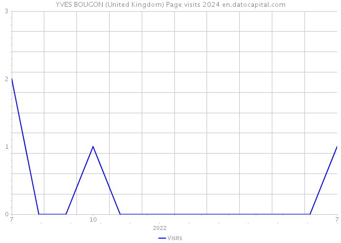 YVES BOUGON (United Kingdom) Page visits 2024 