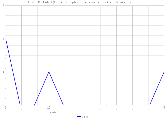 STEVE HOLLAND (United Kingdom) Page visits 2024 
