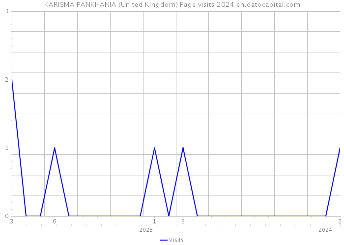 KARISMA PANKHANIA (United Kingdom) Page visits 2024 