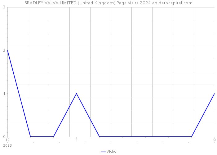 BRADLEY VALVA LIMITED (United Kingdom) Page visits 2024 