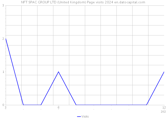 NFT SPAC GROUP LTD (United Kingdom) Page visits 2024 