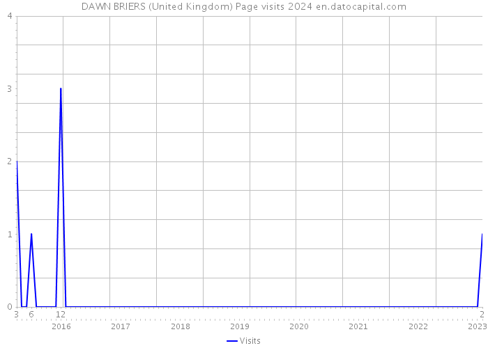 DAWN BRIERS (United Kingdom) Page visits 2024 