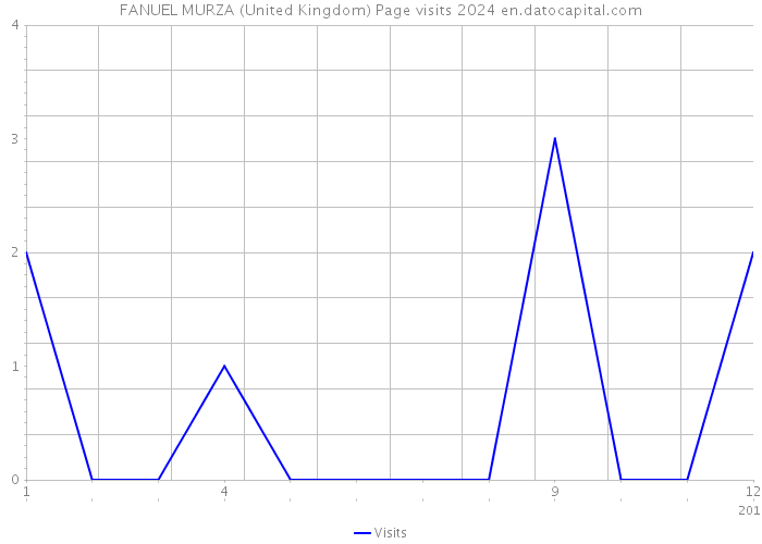 FANUEL MURZA (United Kingdom) Page visits 2024 