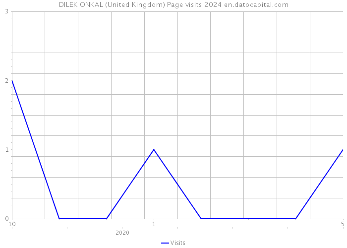 DILEK ONKAL (United Kingdom) Page visits 2024 