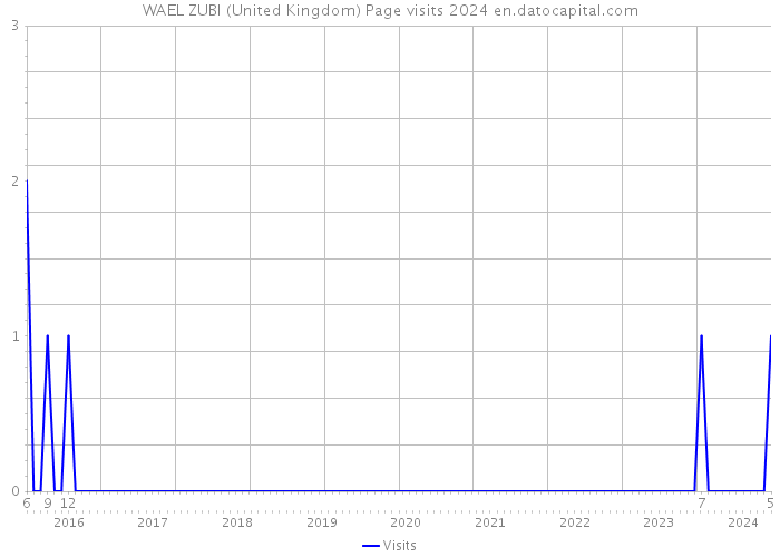 WAEL ZUBI (United Kingdom) Page visits 2024 