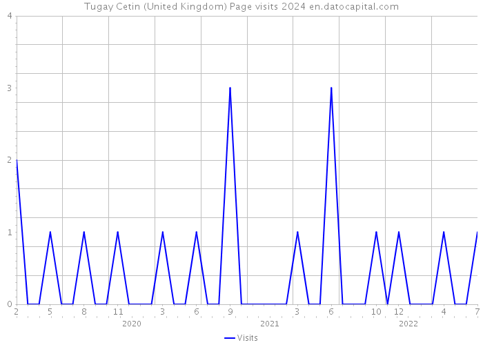 Tugay Cetin (United Kingdom) Page visits 2024 