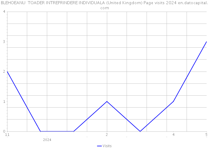 BLEHOEANU TOADER INTREPRINDERE INDIVIDUALA (United Kingdom) Page visits 2024 