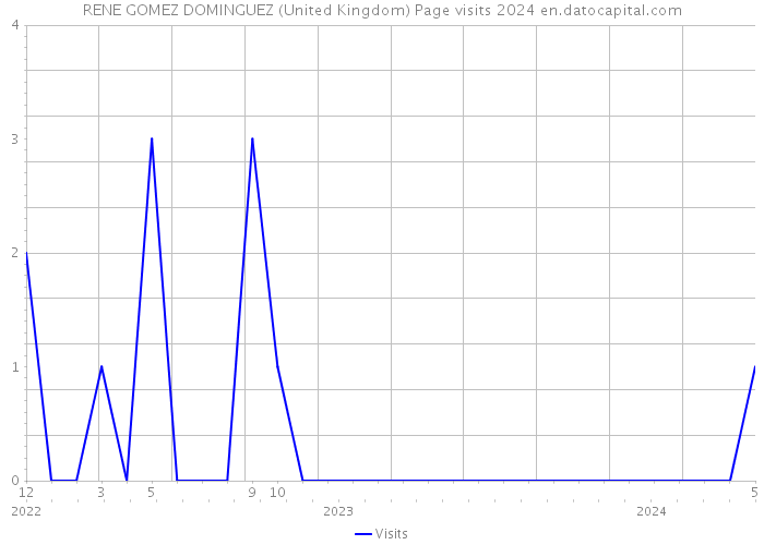 RENE GOMEZ DOMINGUEZ (United Kingdom) Page visits 2024 