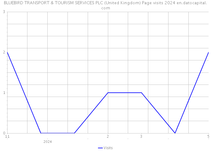 BLUEBIRD TRANSPORT & TOURISM SERVICES PLC (United Kingdom) Page visits 2024 