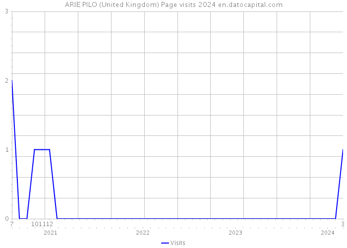 ARIE PILO (United Kingdom) Page visits 2024 