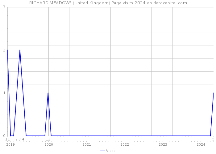 RICHARD MEADOWS (United Kingdom) Page visits 2024 
