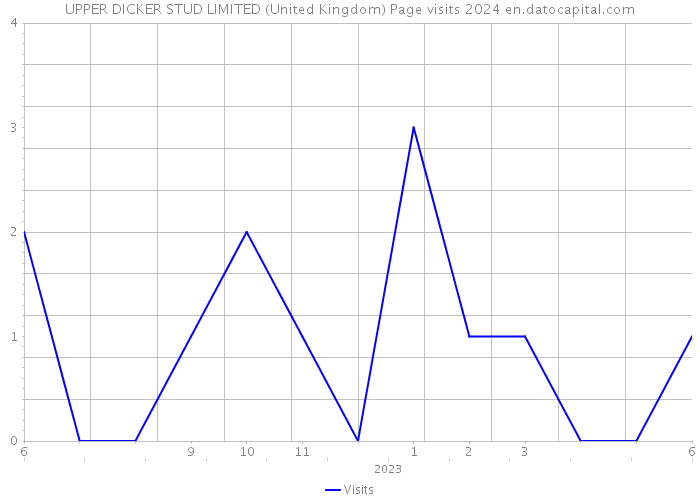 UPPER DICKER STUD LIMITED (United Kingdom) Page visits 2024 