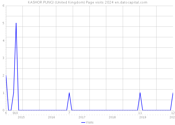 KASHOR PUNGI (United Kingdom) Page visits 2024 