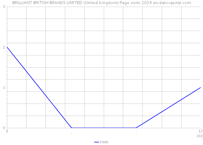 BRILLIANT BRITISH BRANDS LIMITED (United Kingdom) Page visits 2024 