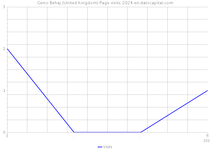 Genci Behaj (United Kingdom) Page visits 2024 