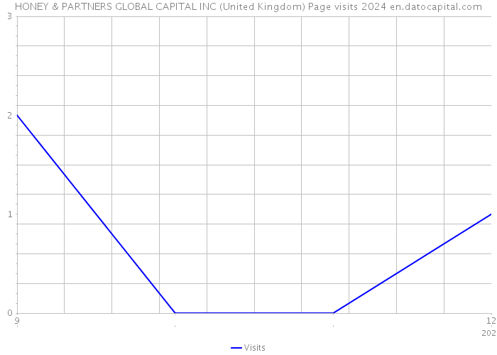 HONEY & PARTNERS GLOBAL CAPITAL INC (United Kingdom) Page visits 2024 