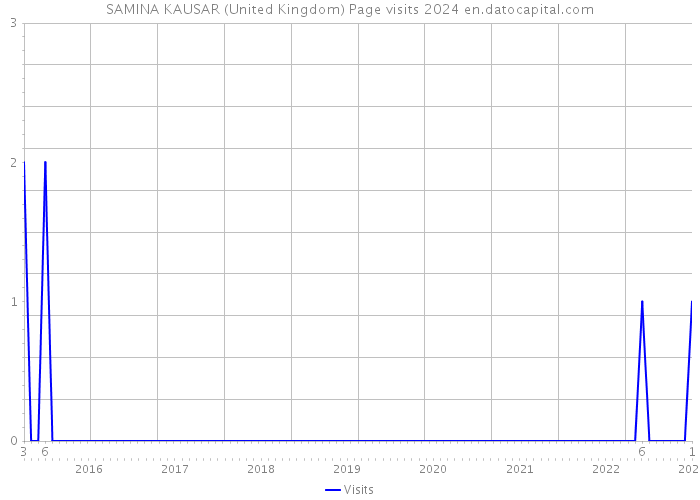 SAMINA KAUSAR (United Kingdom) Page visits 2024 