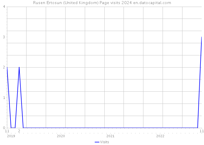 Rusen Ertosun (United Kingdom) Page visits 2024 