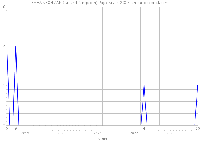 SAHAR GOLZAR (United Kingdom) Page visits 2024 