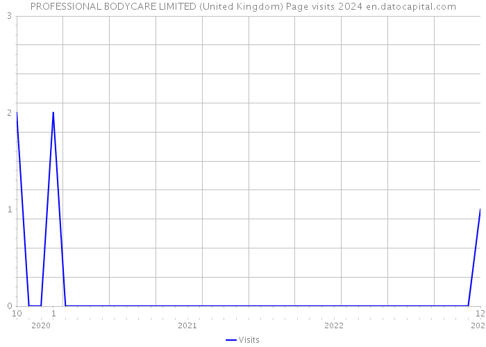 PROFESSIONAL BODYCARE LIMITED (United Kingdom) Page visits 2024 