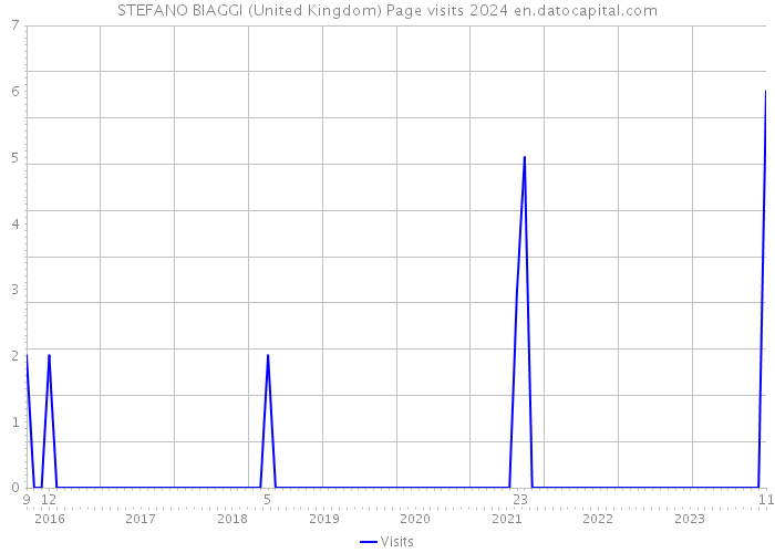 STEFANO BIAGGI (United Kingdom) Page visits 2024 